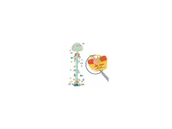 Djeco DD04039 - Stickers Toise Copains Des Bois -Djeco Le Paradis Des Jouets djeco dd04039 stickers toise copains des bois 1600 2