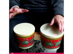 Djeco DJ06022 - Animambo - Bongo -Djeco Le Paradis Des Jouets djeco dj06022