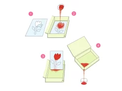 Djeco DJ08661 - Sables Colorés - Arcs-en-ciel De Poissons -Djeco Le Paradis Des Jouets djeco dj08661 sables colores arcs en ciel de poissons 1600 4